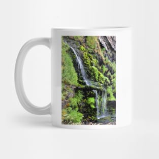 St Catherines Tor Waterfall Devon Mug